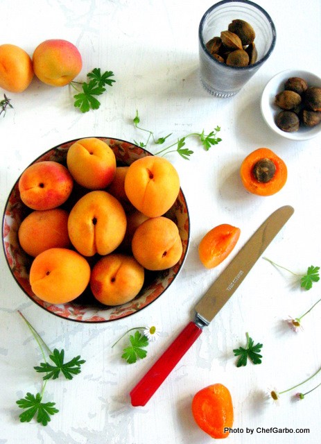 Apricot Collage